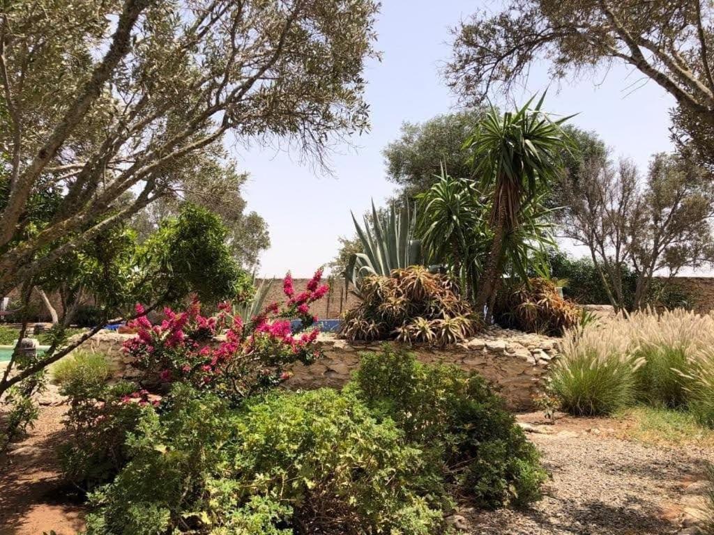 Les Jardins De Silona, Piscine Chauffee Hotel Essaouira Luaran gambar