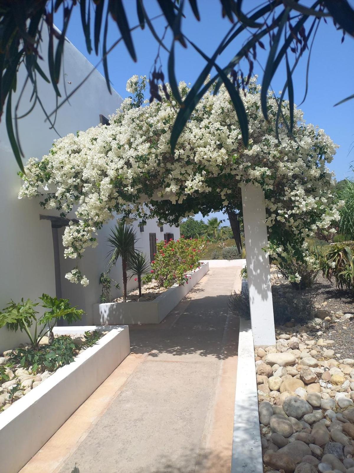 Les Jardins De Silona, Piscine Chauffee Hotel Essaouira Luaran gambar