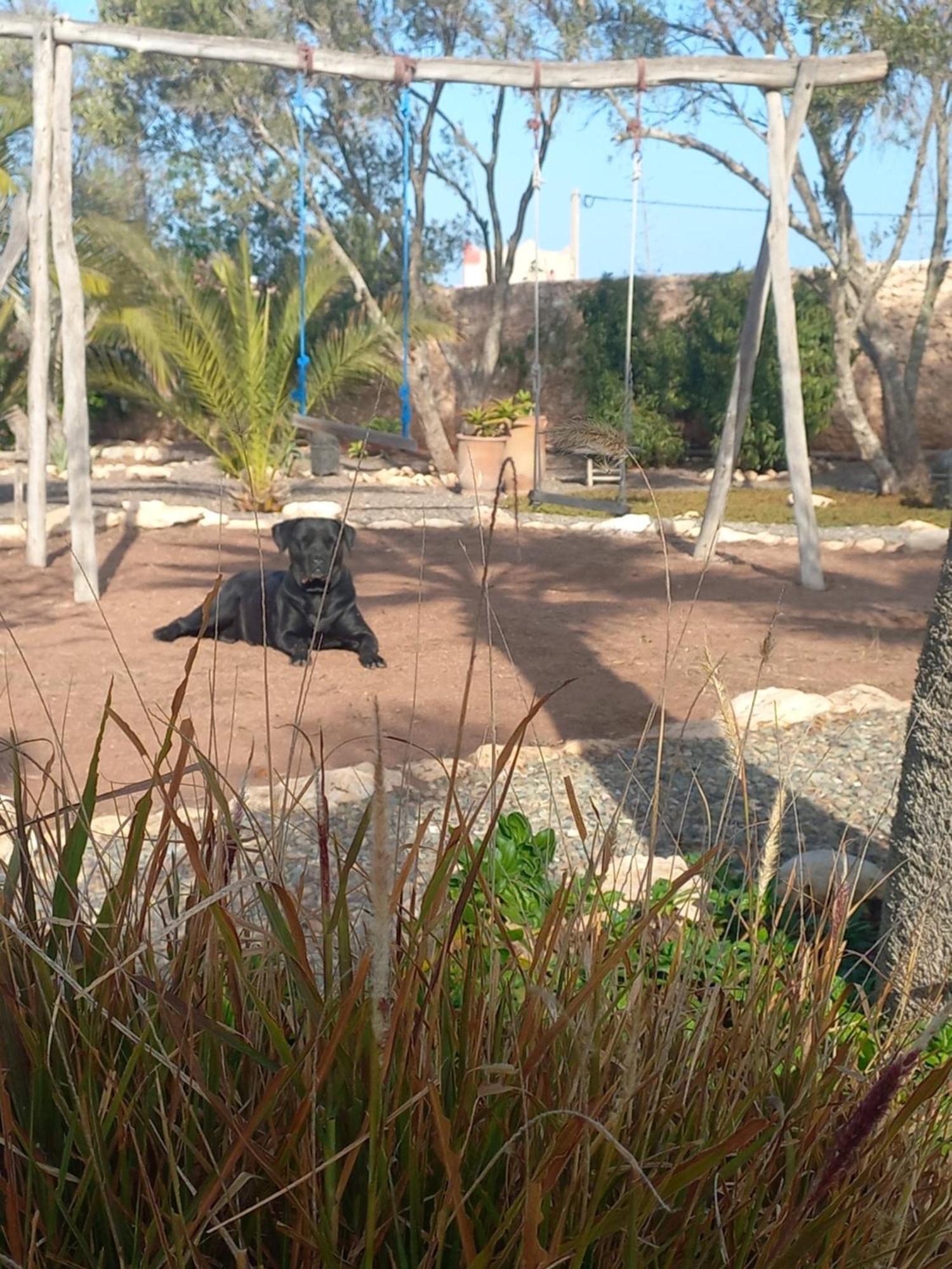 Les Jardins De Silona, Piscine Chauffee Hotel Essaouira Luaran gambar