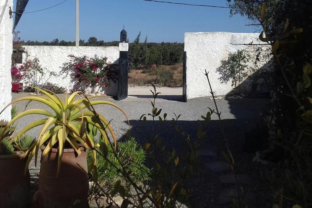 Les Jardins De Silona, Piscine Chauffee Hotel Essaouira Luaran gambar