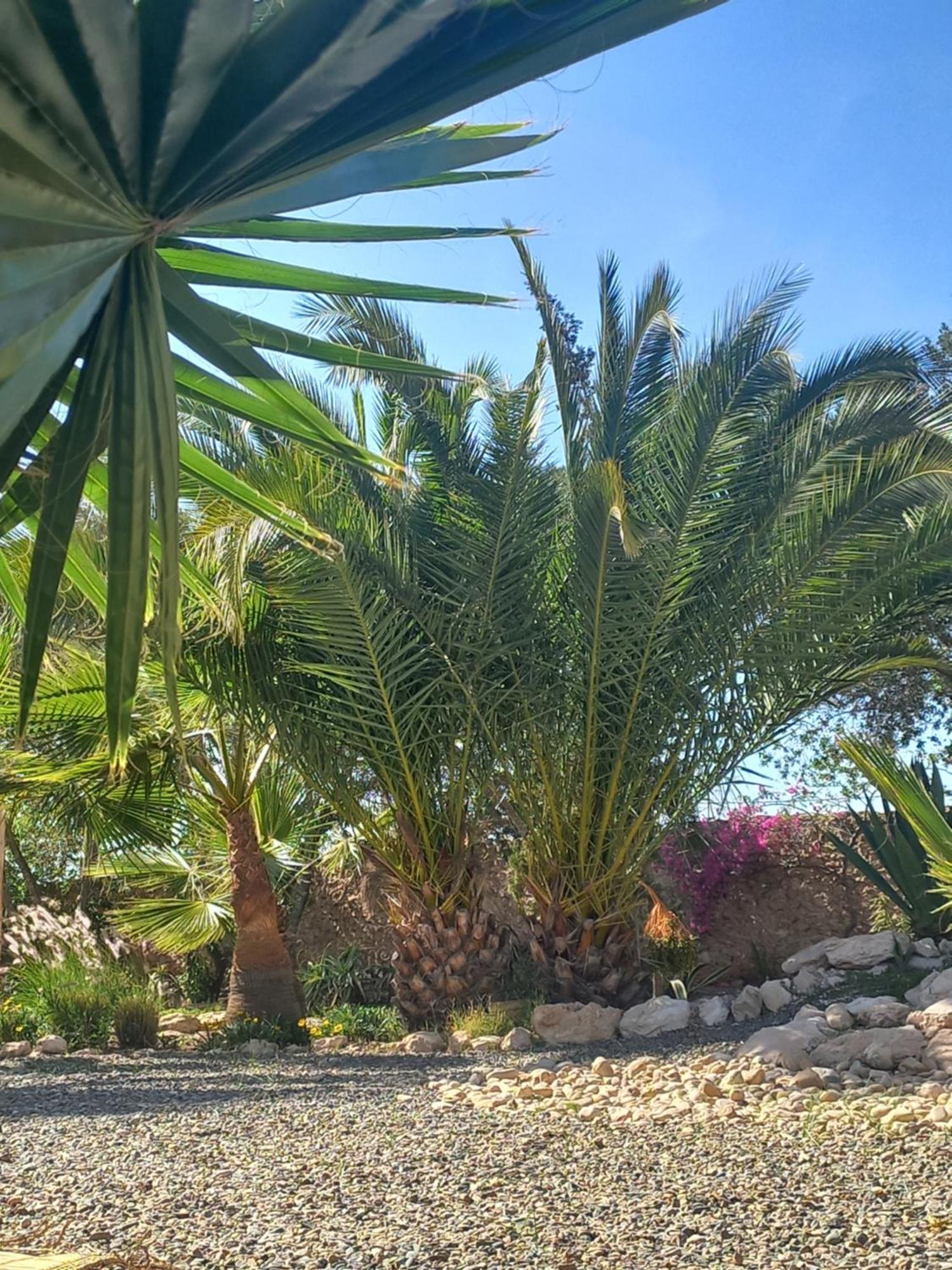 Les Jardins De Silona, Piscine Chauffee Hotel Essaouira Luaran gambar
