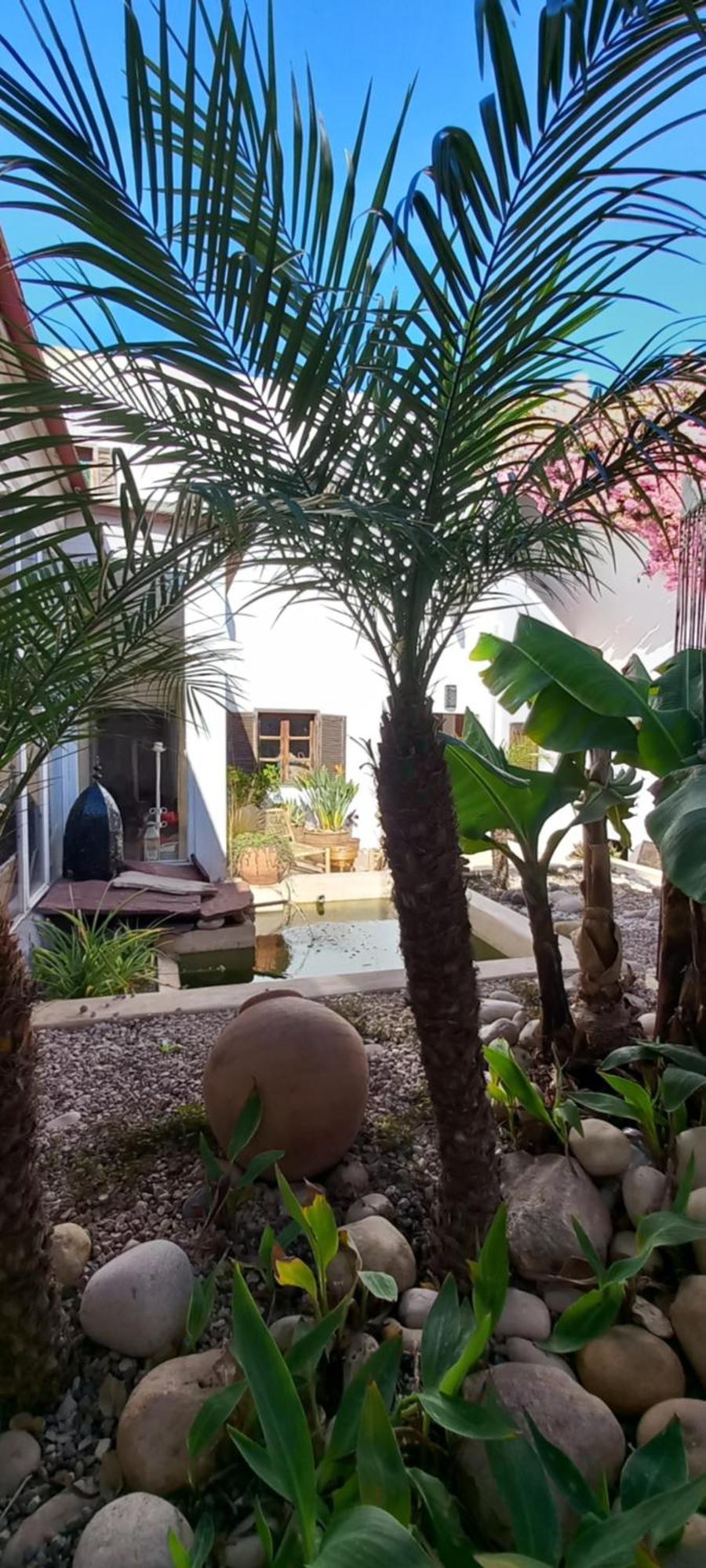 Les Jardins De Silona, Piscine Chauffee Hotel Essaouira Luaran gambar